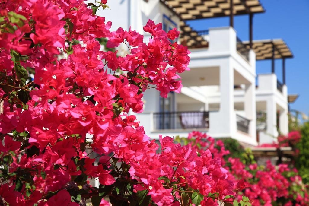 Aktur Residence Битез Екстериор снимка